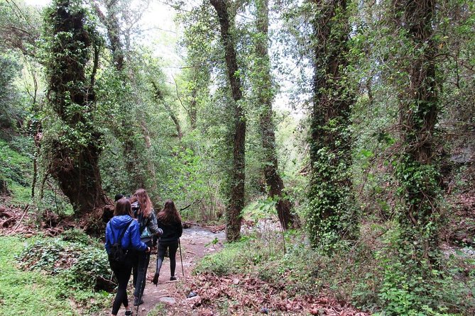 HIDDEN GEMS - RICHTIS GORGE for nature lovers! - Walking Richtis Gorge: Easy Trail, Real Falls, Great Timing