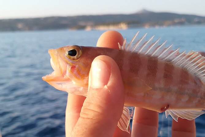 Hook Your Adventure Now with Chania Rod Fishing Experience - Quick Tips to Improve Your Day on the Water