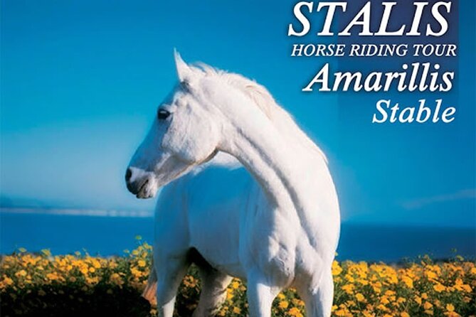 HORSE RIDING 1.5 hours mountains from area Hersonissos CRETE - Key points to know before you go
