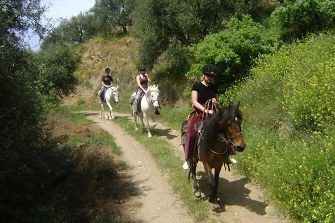 HORSE RIDING 1.5 hours mountains from area Hersonissos CRETE - Horse Riding From Hersonissos: the 90-minute mountain-to-sea route
