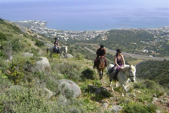 HORSE RIDING 1.5 hours mountains from area Hersonissos CRETE - First Stop at the riding school: equipment and real guidance