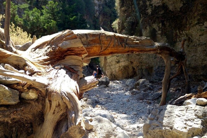 Imbros Gorge Adventure Day Trip from Chania - Venetian fortress ruins in Sfakia: a short walk with big views