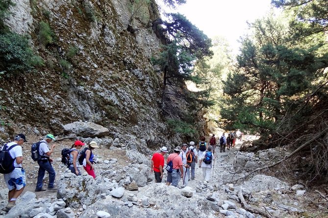 Imbros Gorge and Libyan Sea Day Tour From Rethymno - The Libyan Sea swim: where the tour pays you back