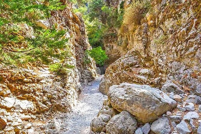 Imbros Gorge and Libyan Sea Day Tour From Rethymno - Who this tour is best for (and who should skip it)