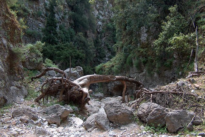 Imbros Gorge and Libyan Sea Day Tour From Rethymno - Should you book the Imbros Gorge and Libyan Sea day trip?