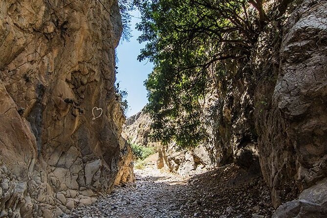 Imbros Gorge Guided Hike & Swim – Day Trip from Chania - A 7:30 am Start From Chania, Then a Full Day of Crete