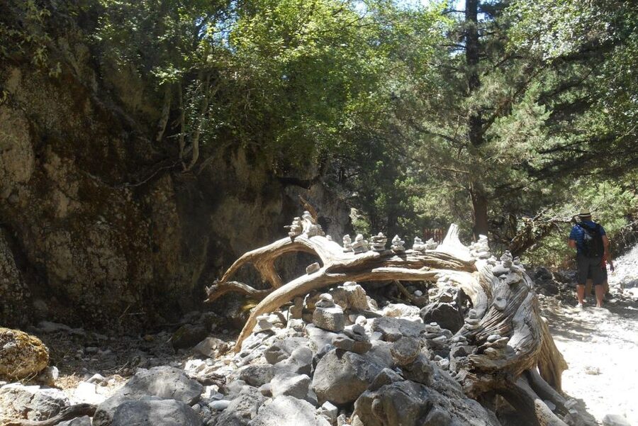 Imbros Gorge Hike From Rethymno - Imbros Gorge: what you experience on the main trail