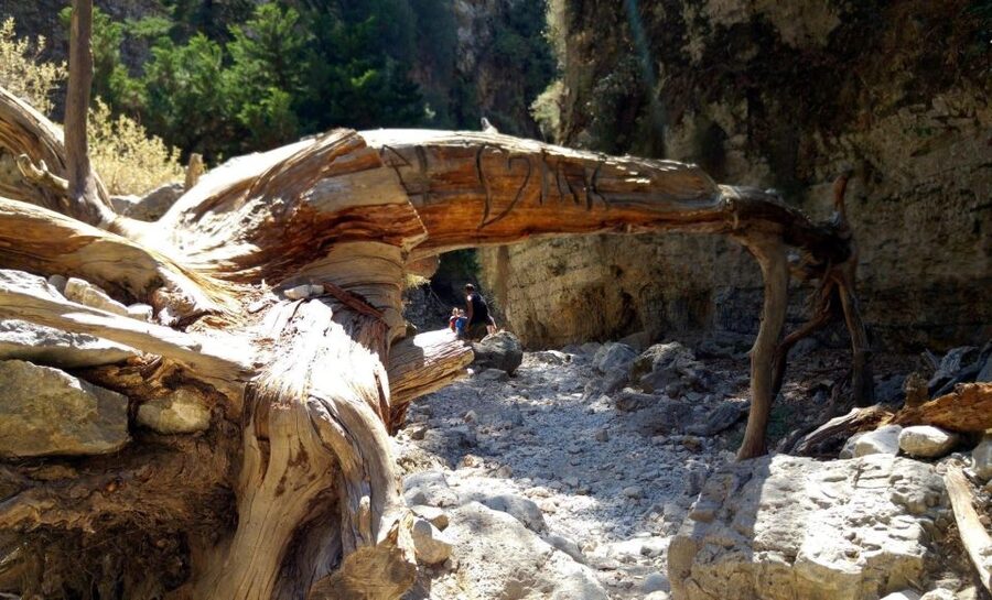 Imbros Gorge Hike From Rethymno - Hotel pickup from Rethymno: the ride that sets your day up