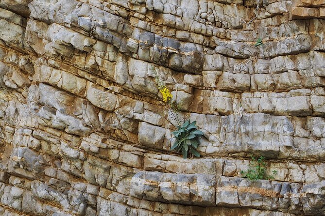 Imbros Gorge Private Hike - Small Groups and Families - Price and value: is $338.76 per person worth it?