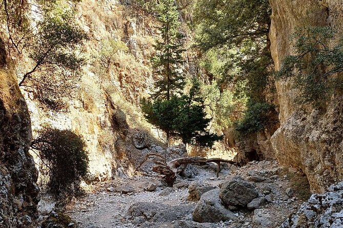 Imbros Gorge Private Hiking Experience in the heart of Crete - Your Guide Nicholas, Plus the Small Care Details That Change the Day