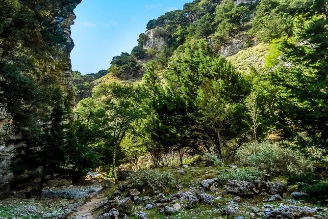 Imbros Gorge Tour From Rethymno - Who this tour fits best, and who should consider other options
