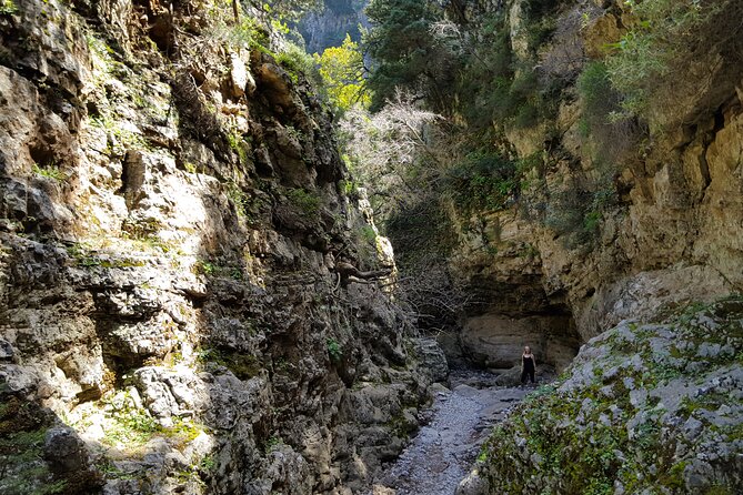Imbros Hiking and Sfakia Private Tour from Heraklion - The 9:00 am start that makes sense for Imbros Gorge