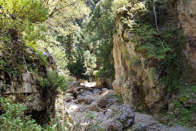 Imbros Hiking and Sfakia Private Tour from Heraklion - Hora Sfakion: village rhythm, your meal choices, and optional sea time