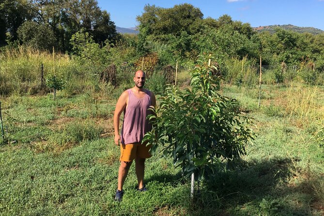 In Crete Discover the miracle of Olive Oil and Organic Fruits - Apokoronas Monastery: Olive Oil Tied to Local Faith and Survival