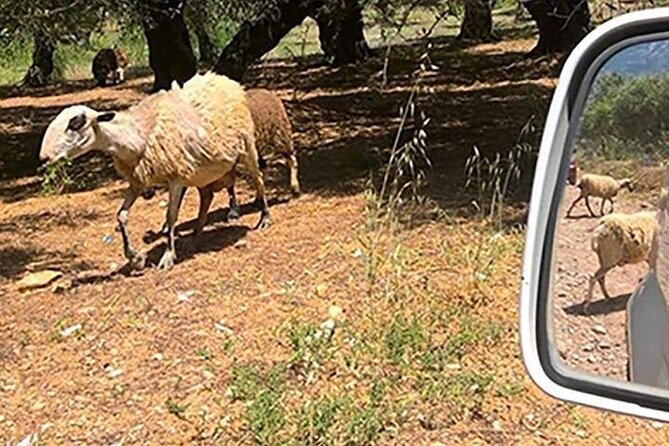 Jeep Safari 4x4 Crete real off road mountain tracks with Lunch from Hersonissos - Gorge Crossing and the Aposelemis Dam Pass: Big Scenery, Limited Time