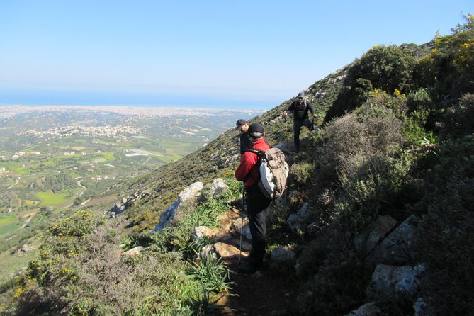 Jeep Tour to Giouchta Mountain, Wine & Olive Tasting - Jeep Tour to Mount Juktas: what the day actually feels like