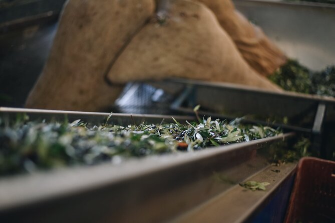 Kleanthi Olive Farm: Guided Tour with Local Delicacies Tasting - The Mill Visit: Where Olive Oil Becomes Real