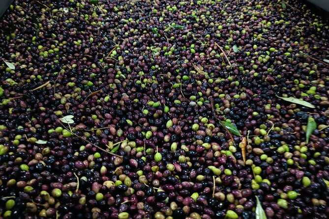 Kleanthi Olive Farm: Guided Tour with Local Delicacies Tasting - Timing, Weather, and How to Plan Your Day Trip