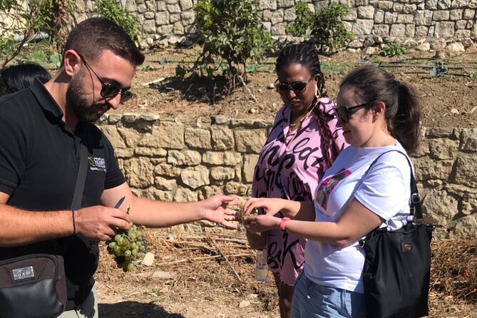 Knossos and Wine A Journey Through History and Flavors - What to bring and what to expect from the tastings