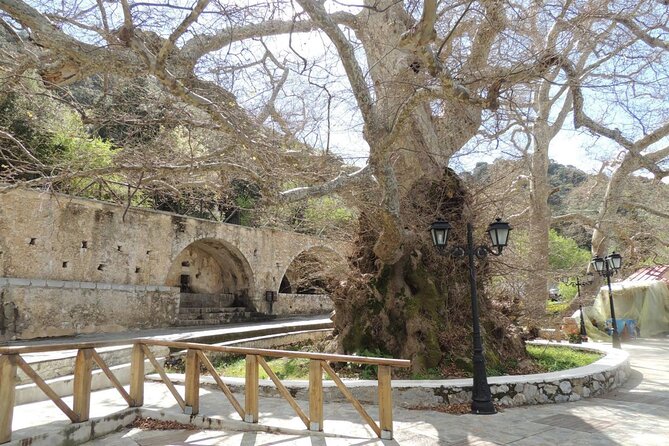 Knossos & Lasithi Plateau: Villages, Olive Oil Tour From Elounda - Omalia Olive Press: taste the process, not just the product