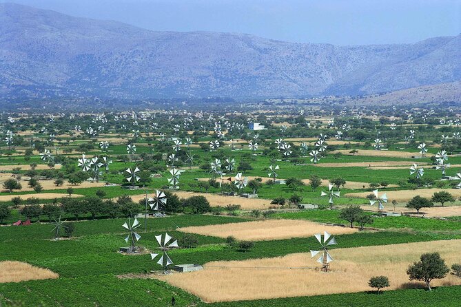 Knossos & lasithi plateau villages,Zeus's cave,&olive oil Mill - Omalia Olive Press: the olive oil stop that actually explains Crete