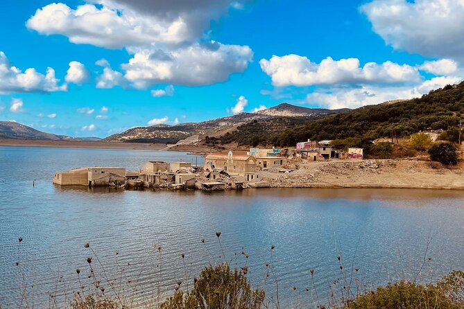 Knossos & Lasithi Plateau: Zeus Cave,Villages, Olive Oil Tour - Krasi plane tree coffee break (and why it feels more local)