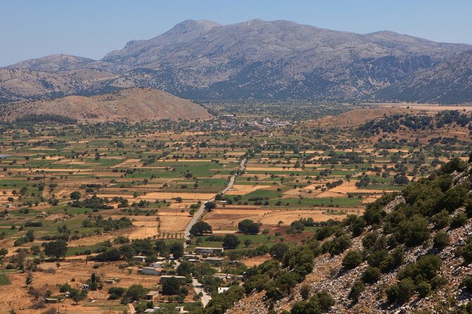 Knossos, Lasithi, Zeus Cave & Olive Mill Farm Combo Tour - Krasi village and the famous plane tree stop