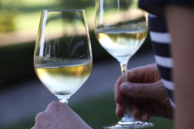 Knossos, Olive Grove, Winery - Distillery with Tastings & Lunch - Price and logistics: where the value really comes from