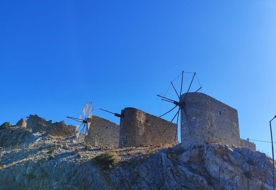 Knossos Palace &/or Zeus Cave + Olive Mill | Local & Private - Olive mill tasting, Crete’s liquid gold in your hand