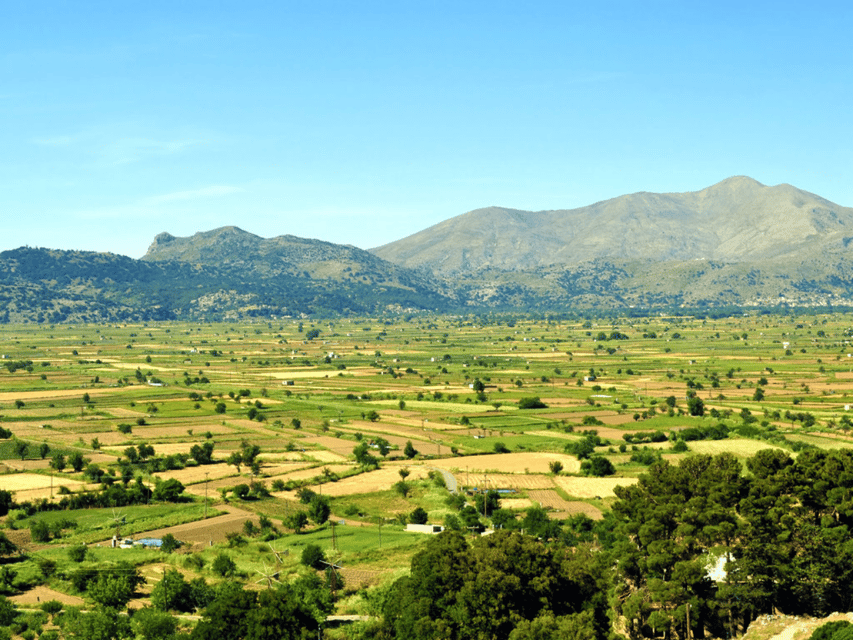 Knossos Palace &/or Zeus Cave + Olive Mill | Local & Private - Lunch on the plateau, when to add it