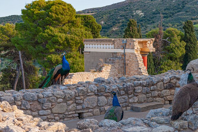 Knossos Palace Private Walking Tour - The Replica Bull-Leaping Fresco: A Visual Shortcut