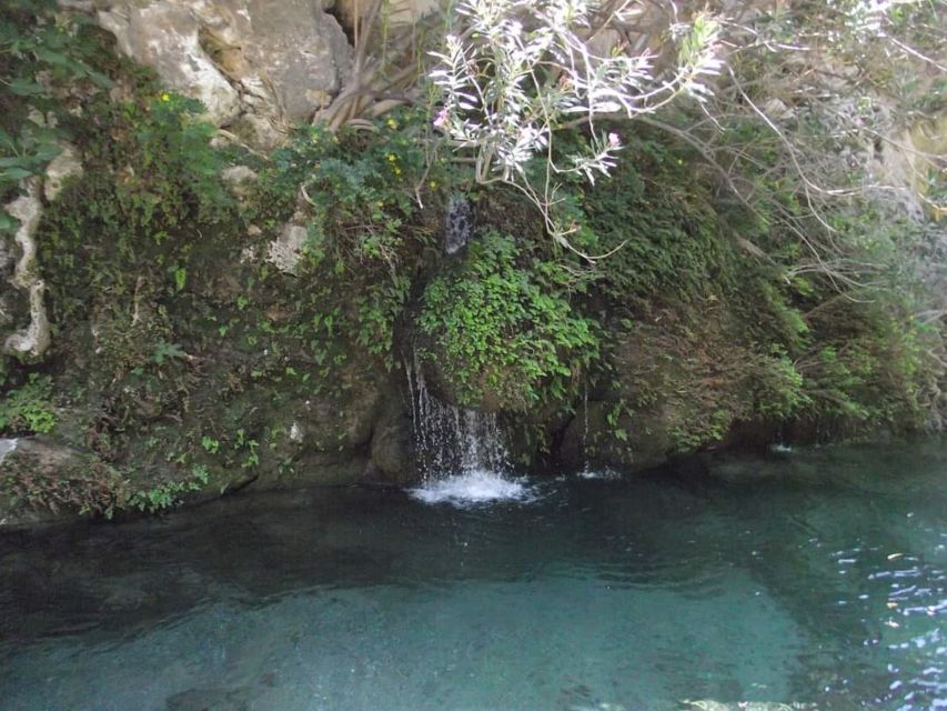 Kourtaliotiko Gorge River Trek with Lunch! Pick-up Avaliable - The river walk away from crowds: pools, plane trees, and photo time