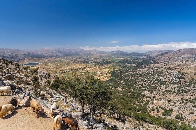 Land Rover Safari Katharo Route - Katharo Plateau: forest tracks, river crossings, and a kafenion pause