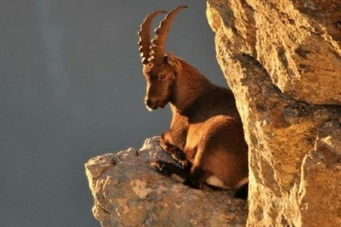 Lasithi –Plateau Traditional Vilages - Katharo Plateau at 1,250 meters: fossils, legends, and big views