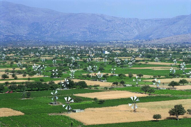 Lasithi - Zeus Cave -Olive Oil Factory - Traditional Villages - Key highlights you’ll care about
