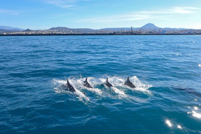 Luxury escape Sailing, shared from Hersonissos or Heraklion port - Zeus’s Island, Dia Island: The Setting and What You Actually Get