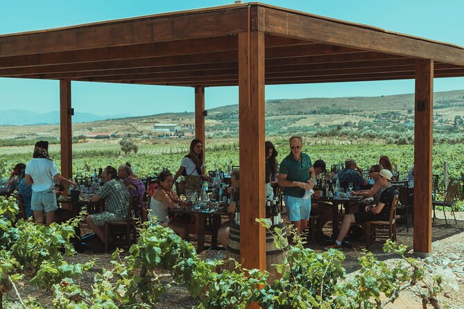 LUXURY PRIVATE Wine Tasting in CRETE (also for CRUISE SHIPS) - Cruise Ship Day Reality Check (How to Make It Work)