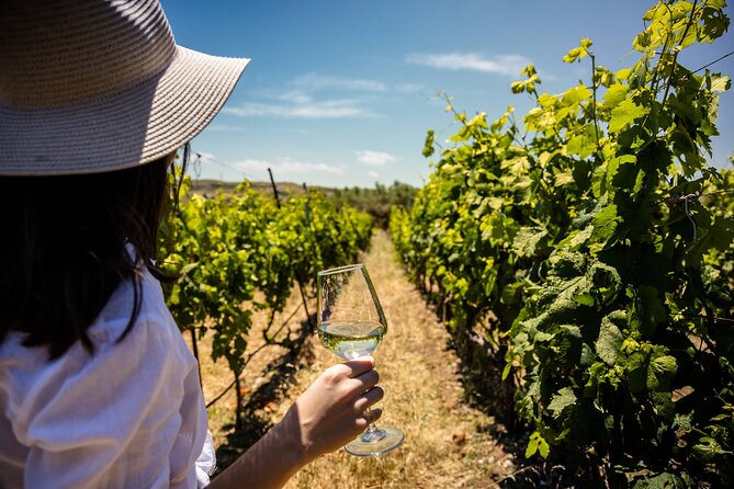 LUXURY PRIVATE Wine Tasting in CRETE (also for CRUISE SHIPS) - The Two Options, and Who Each One Fits Best