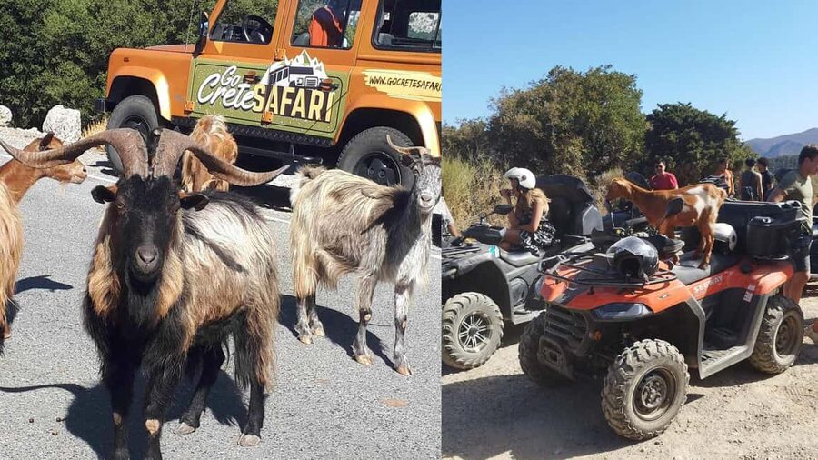 Malia: Off-Road Quad Safari Tour with Lunch and Transfers - Off-Road Quad Safari Route: Olive Groves to Unknown Paths of Crete