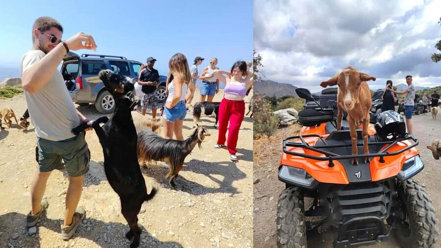 Malia: Off-Road Quad Safari Tour with Lunch and Transfers - Pickup Timing and Transfer Areas That Make It Easy