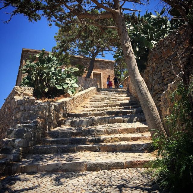 Mirabello Luxuries with Spinalonga & Agios Nikolaos - Olive Oil Estate Visit and Tasting: Why This Stop Is More Than a Product Sale