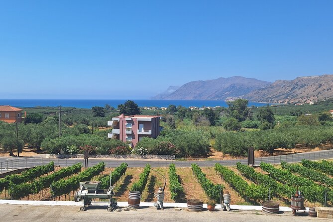 Monastery, Elafonissi and Winery Tour from Chania - Pnevmatikakis Winery stop: a short tasting that keeps the day balanced
