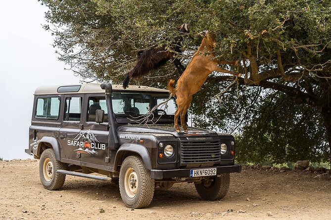 Mountains of Crete 4x4 Tour with Taverna Lunch - Taverna lunch, wine, and the food factor