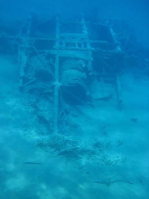 Notos half-day cruise - Who Should Book This Notos Half-Day Cruise