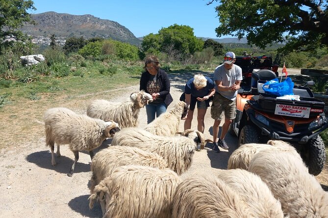 Off-road Buggy Safari in Crete with a Guide - Off-road buggy day from Malia: what you’re really buying