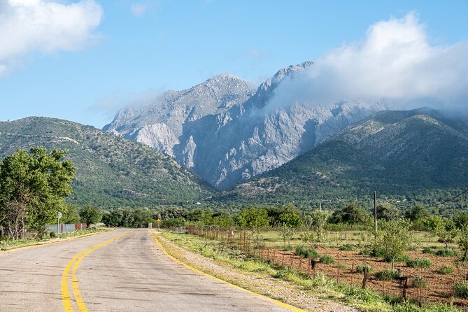 Off-Road Safari, Traditional Villages & Botanic Garden Walk - Off-Road Safari, Villages, and the 4x4 That Keeps Things Real