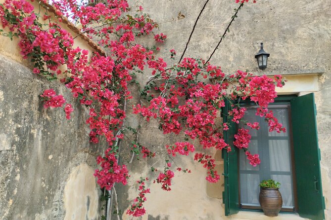 Olive oil, Honey, Cheese & Wine - Chania Villages Gastronomy Tour - Key highlights to look forward to