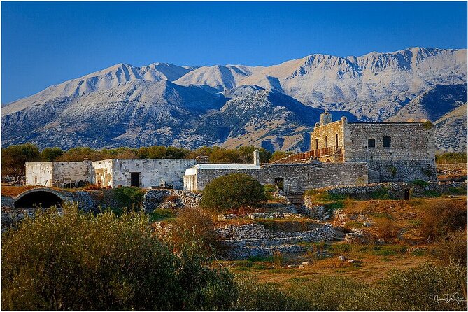 Olive oil, Honey, Cheese & Wine - Chania Villages Gastronomy Tour - Sorte village wine tasting option in a local lab