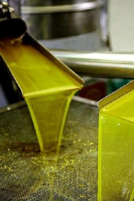 Olive oil Tasting 3-hour Trip from Chania Souda Cruise Port - From Souda Port to the Vouves countryside, fast and comfortable