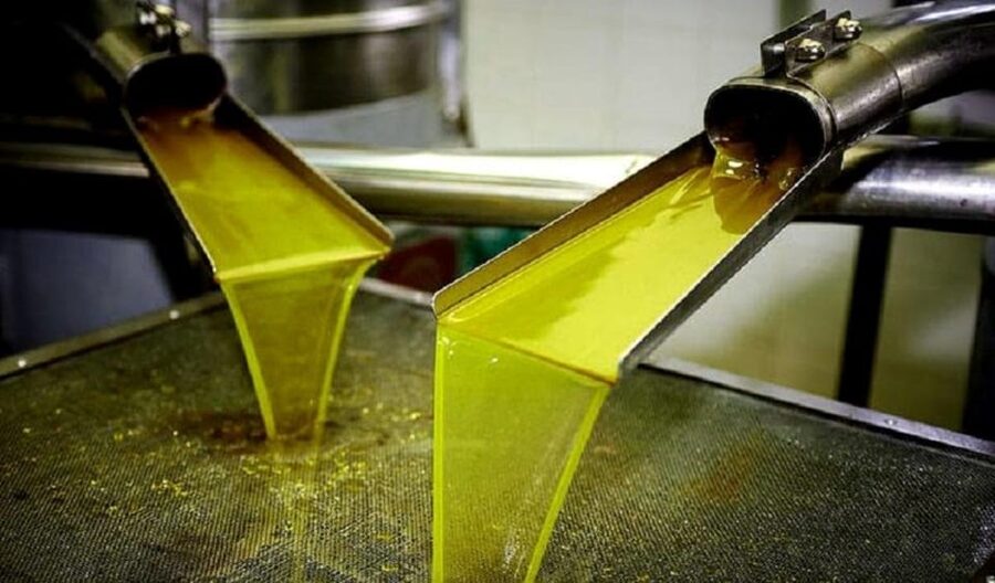 Olive oil Tasting 3-hour Trip from Chania Souda Cruise Port - Biolea Astrikas Estate: where tasting turns into learning
